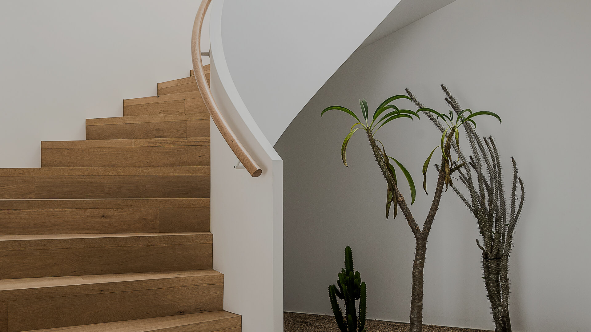 Walkthough - PALMA by GRAYA™